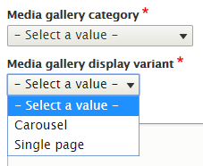 Screenshot of category and display variant fields for a media gallery