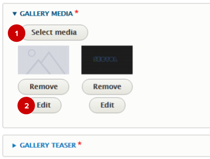 Screenshot of gallery media fields for a media gallery node